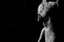 Filename=_59.jpg
Filesize=166KiB
Dimensions=1600x1067
Date added=Jun 29, 2023 _59.jpg